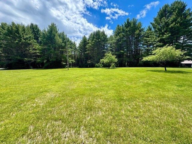 Land for sale in Vilas, Wisconsin