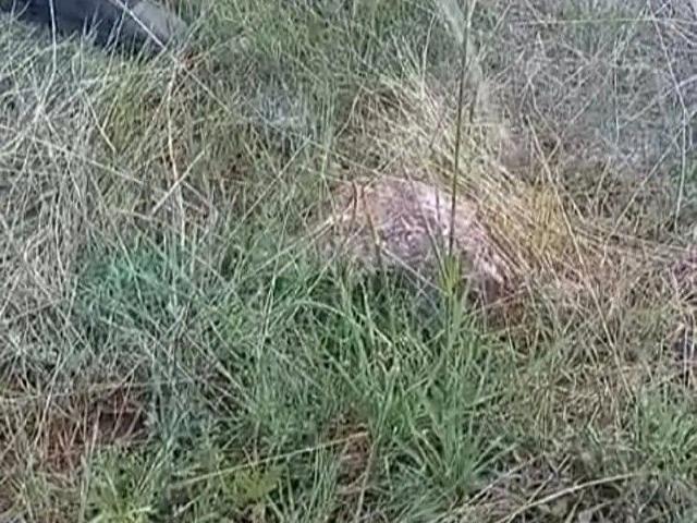 Mut, Mersin içerisinde satılık Arsa