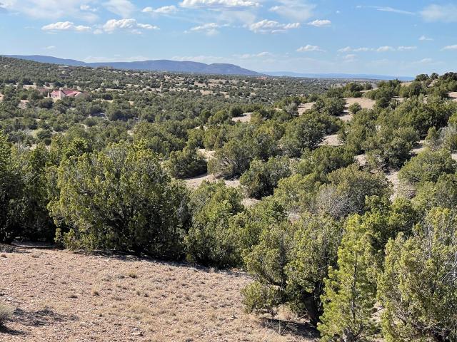 Land for sale in New Mexico