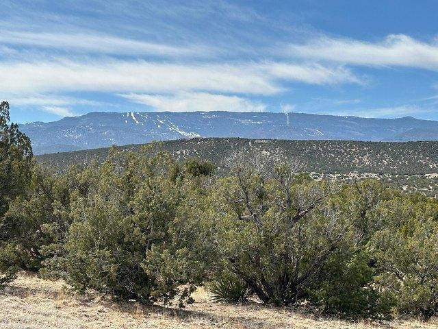 Land for sale in Sandia Park, New Mexico