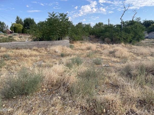 Land for sale in Yerington, Nevada