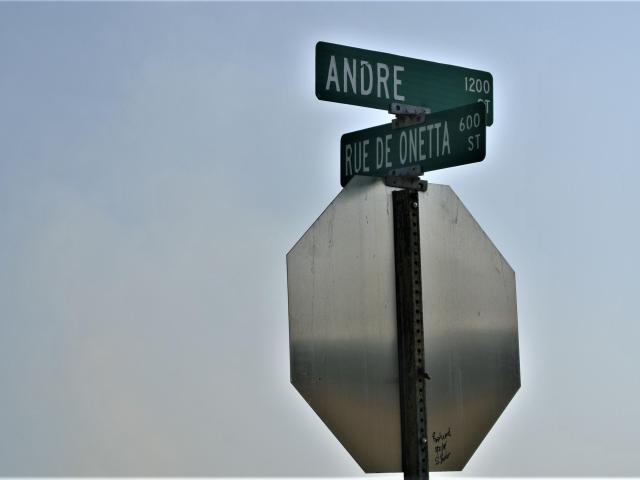 Land for sale in Iberia, Louisiana