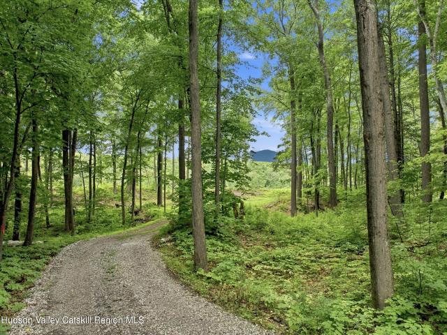 Land for sale in Bloomington, New York