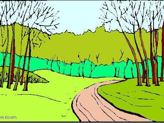 Land for sale in Lycoming, Pennsylvania