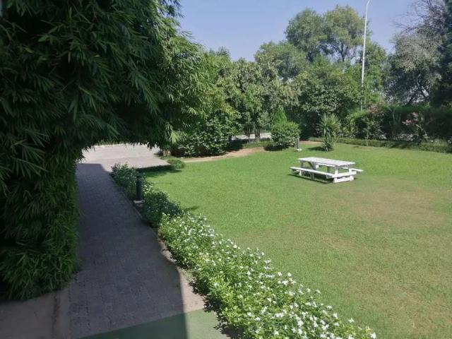 Apartment for rent in ڈپلومیٹک انکلیو, اسلام آباد