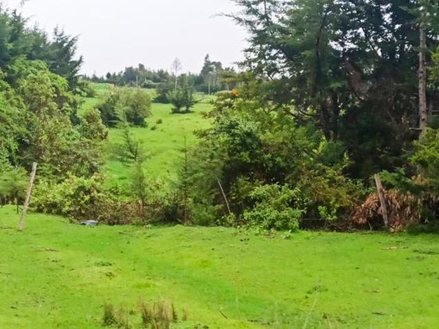 Land for sale in Nyandarua