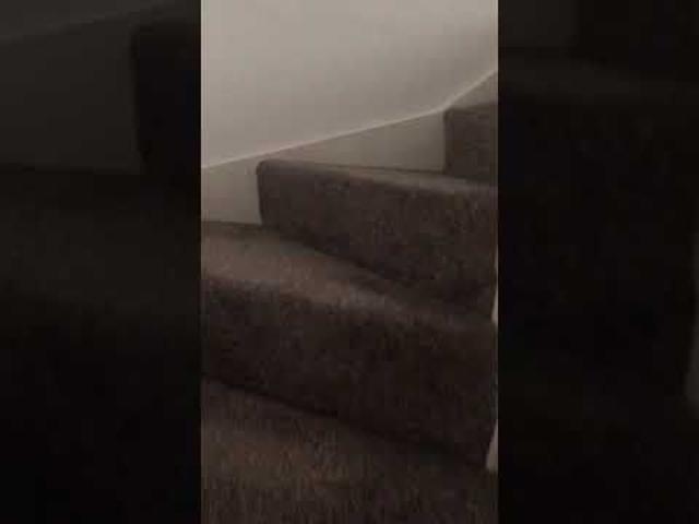 Apartment for rent in City Centre, Georgia