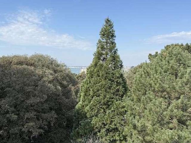 Flat for sale in Poole, Lilliput
