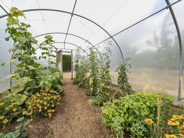 House for sale in Chedburgh, Suffolk