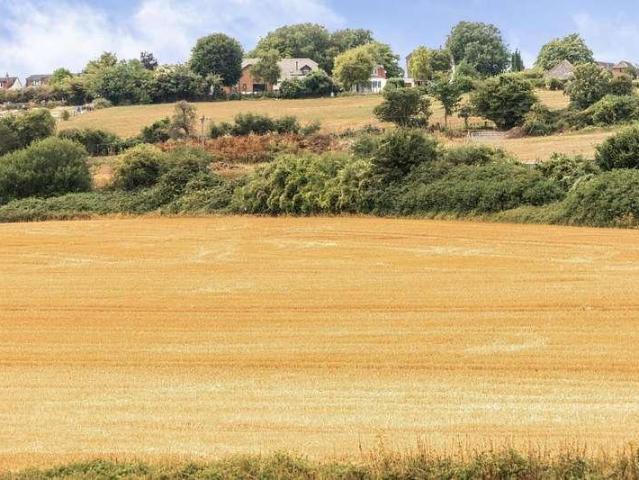 House for sale in Bolton Low Houses, Hampshire