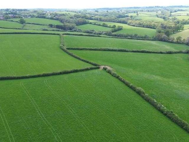 House for sale in Newton St Cyres, Devon