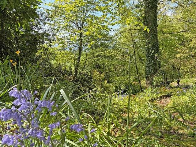 House for sale in Budlake, Devon