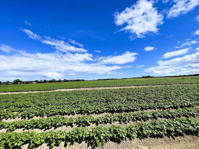 House for sale in Kinloss, Scotland