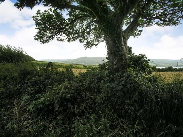 House for sale in Newport, Wales