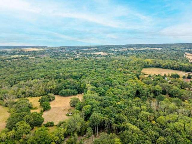 House for sale in Westborough, Surrey