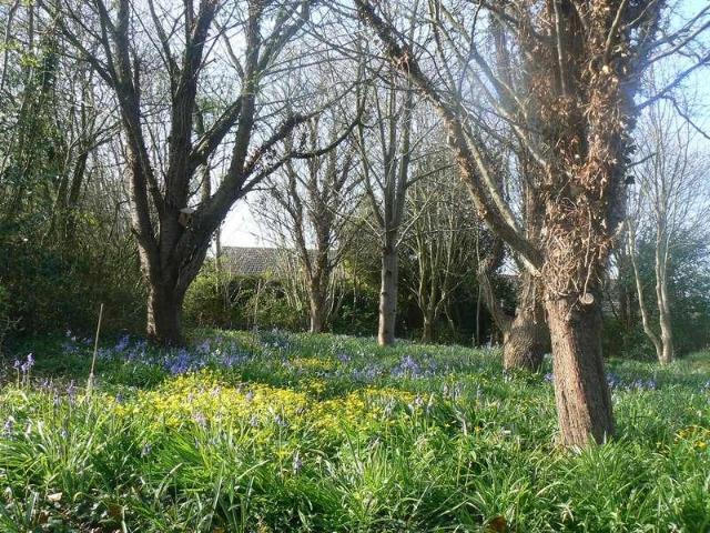House for sale in Budlake, Devon