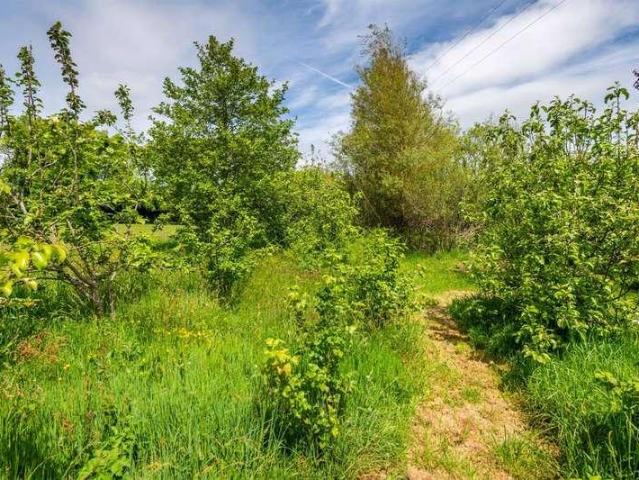 House for sale in Kentisbury, Devon