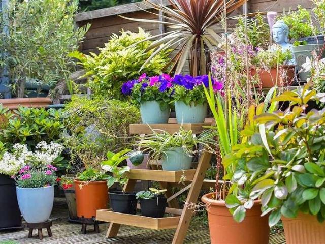 House for sale in Upton, Acol