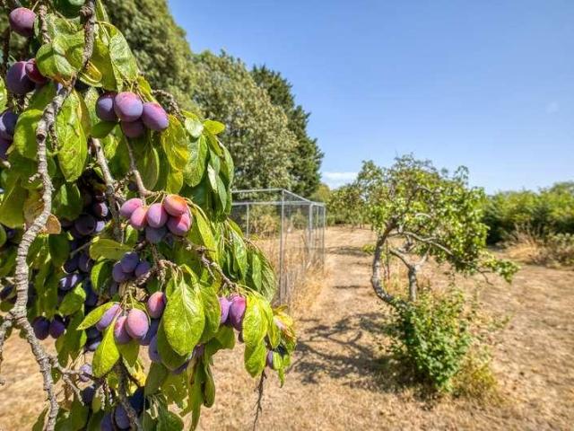 House for sale in Somerset