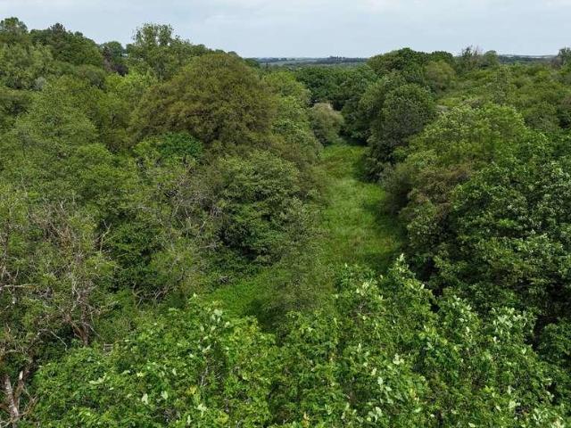 House for sale in Cookbury, Torridge