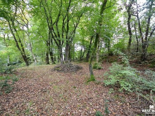House for sale in Wales