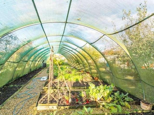 House for sale in Gosberton Clough, Lincolnshire