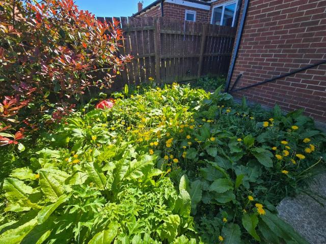 House for sale in Deneside, Dalton-le-dale