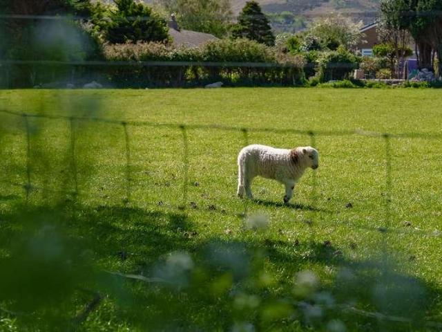 House for sale in Saint Gwynan's, Dwygyfylchi