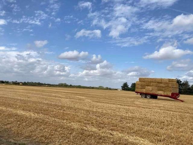 House for sale in Barling Magna, Barling