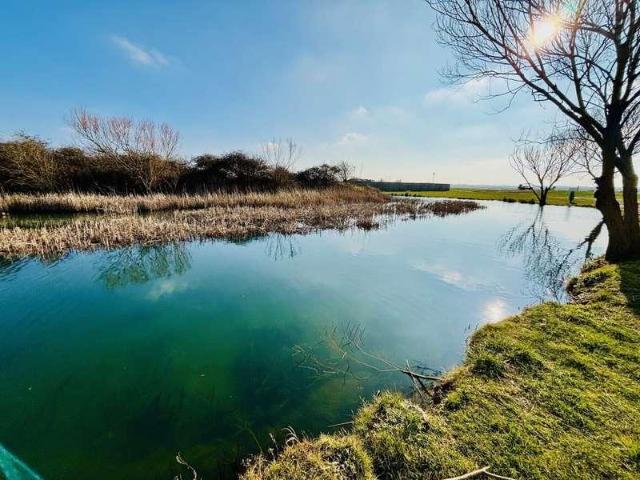 Property for sale in Steeple, Maldon