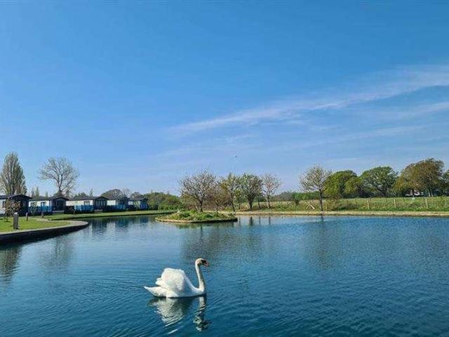 Property for sale in Spring Vale, Hampshire