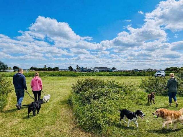 Property for sale in Steeple, Maldon