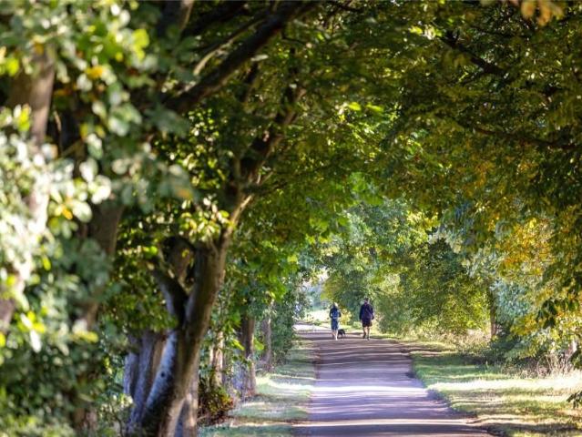 Property for sale in Harlow, Essex