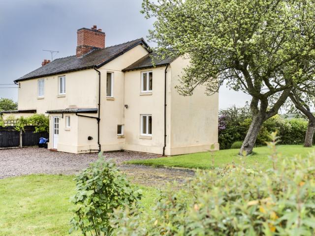 House for rent