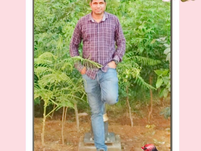 Villa for sale in Pink City, Jetpur