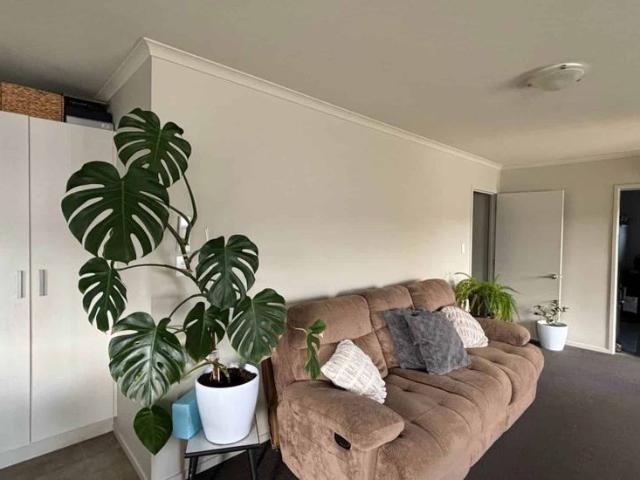 House for rent in Whangarei, Northland