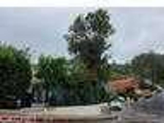 House for rent in Encino