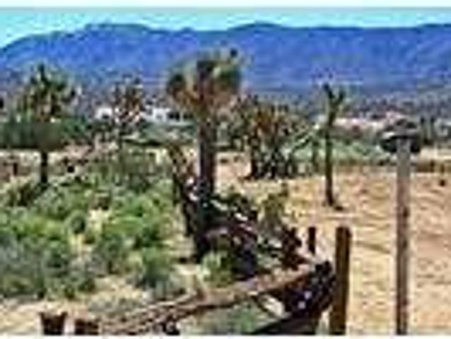 House for rent in Pearblossom, California