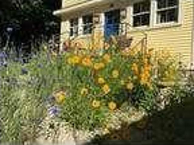House for rent in Woods Hole