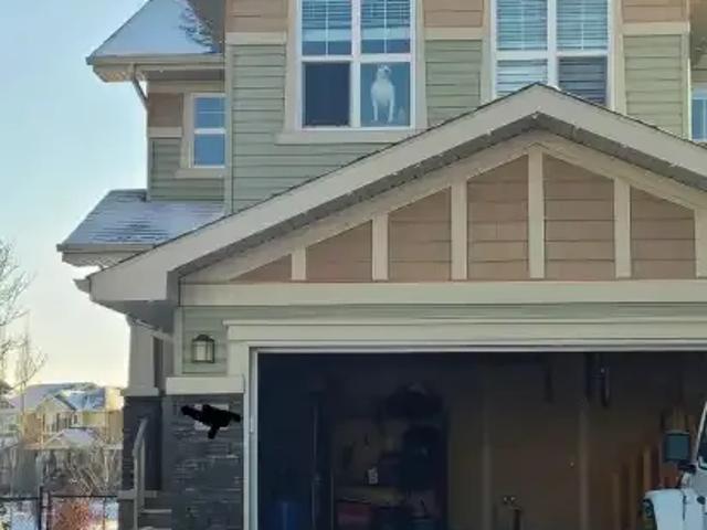 Apartment for rent in Wedgewood, Alberta
