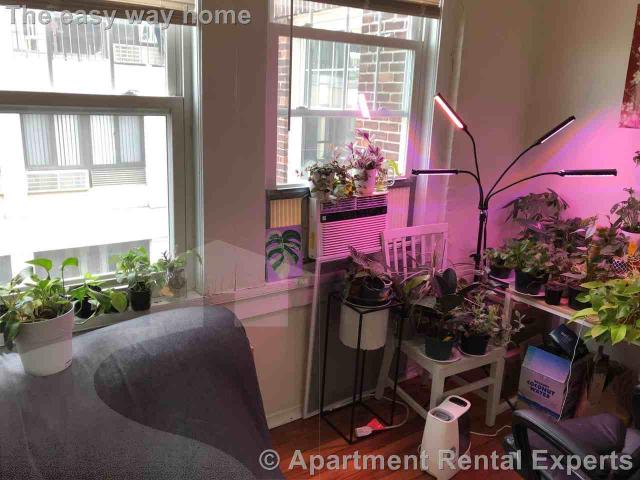 Apartment for rent in Cambridge, Massachusetts