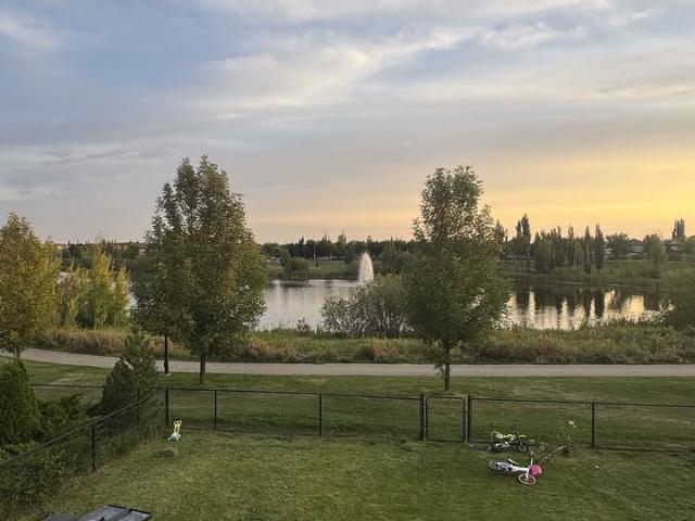 Apartment for rent in Wedgewood, Alberta