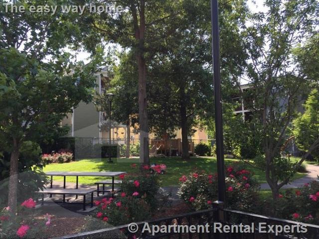 Apartment for rent in Cambridge, Massachusetts