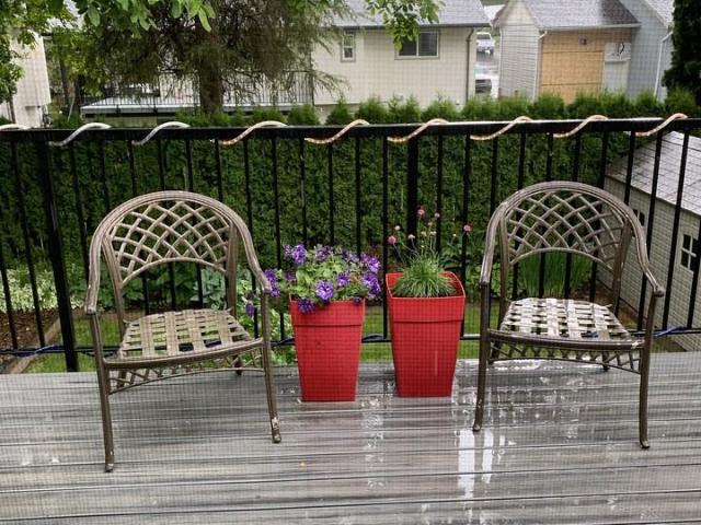 Apartment for rent in Abbotsford, British Columbia