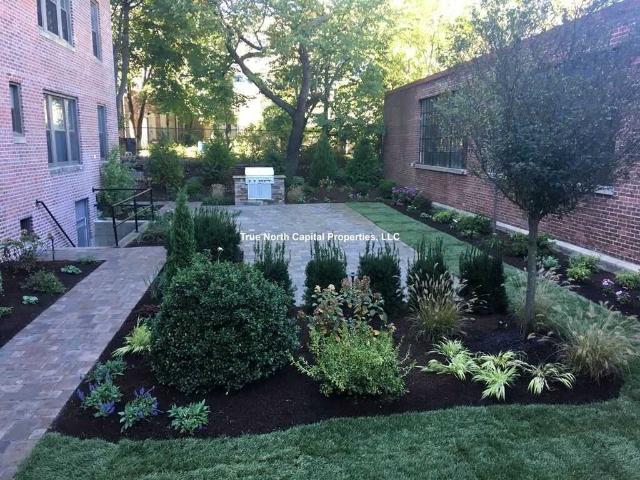 Apartment for rent in Somerville, Massachusetts