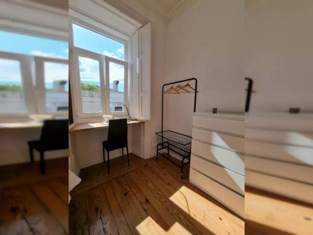 Apartamento alugar em Coimbra (Sé Nova, Santa Cruz, Almedina e São Bartolomeu), Coimbra