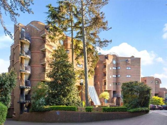 Apartment for rent in Cat Hill