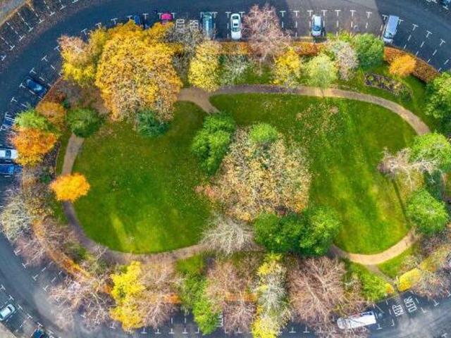Apartment for rent in Scotland