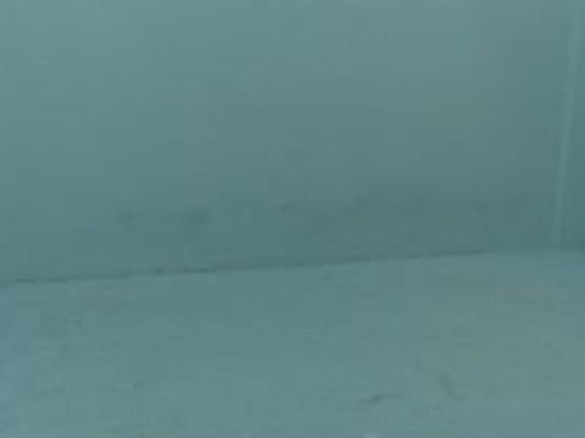 Apartment for rent in Petaling, Damansara Damai