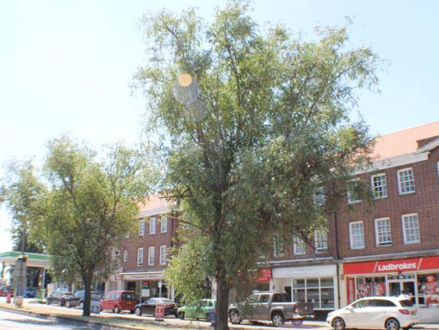 Flat for sale in Blackhills, Surrey